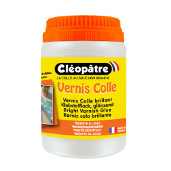 3134721082506 - VERNIS COLLE DÉCORATEUR POT 250ML