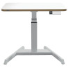 BUREAU ASSIS DEBOUT COMPACT ELECTRIQUE