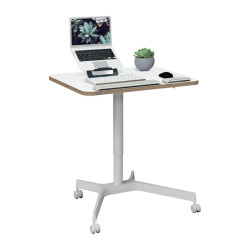 1 BUREAU ASSIS DEBOUT COMPACT MANUEL