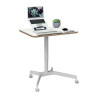 1 BUREAU ASSIS DEBOUT COMPACT MANUEL