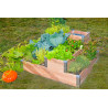 3598761421778 - POTAGER BOIS 2 ETAGES AVEC COMPOSTEUR, MATERIEL ET GRAINES