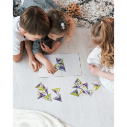 3512610535003 - LES TRIANGLES DES NOMBRES