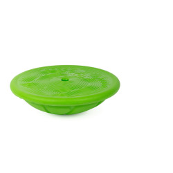 - TORTUE DE MOTRICITE DIAM 40 CM