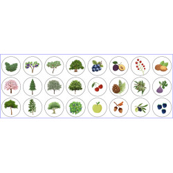 ROULEAU DE 360 GOMMETTES RONDES 33MM ARBRES