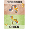3558380116189 - ANIMOTS