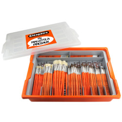 3134725015951 - MALLETTE 100 PINCEAUX N?4 A N?20 + BAC DE RANGEMENT AVEC COUVERCLE + COMPART IMENTS POUR RANGER LES PINCEAUX