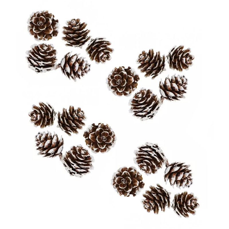 3760002575407 - 20 POMMES DE PIN