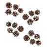 3760002575407 - 20 POMMES DE PIN