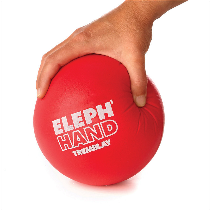 3700322931569 - BALLE PEAU D'ÉLÉPHANT
