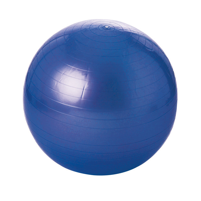 3700322904587 - GYMBALL Ø 55 CM