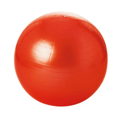 3700322919673 - GYMBALL Ø 65 CM