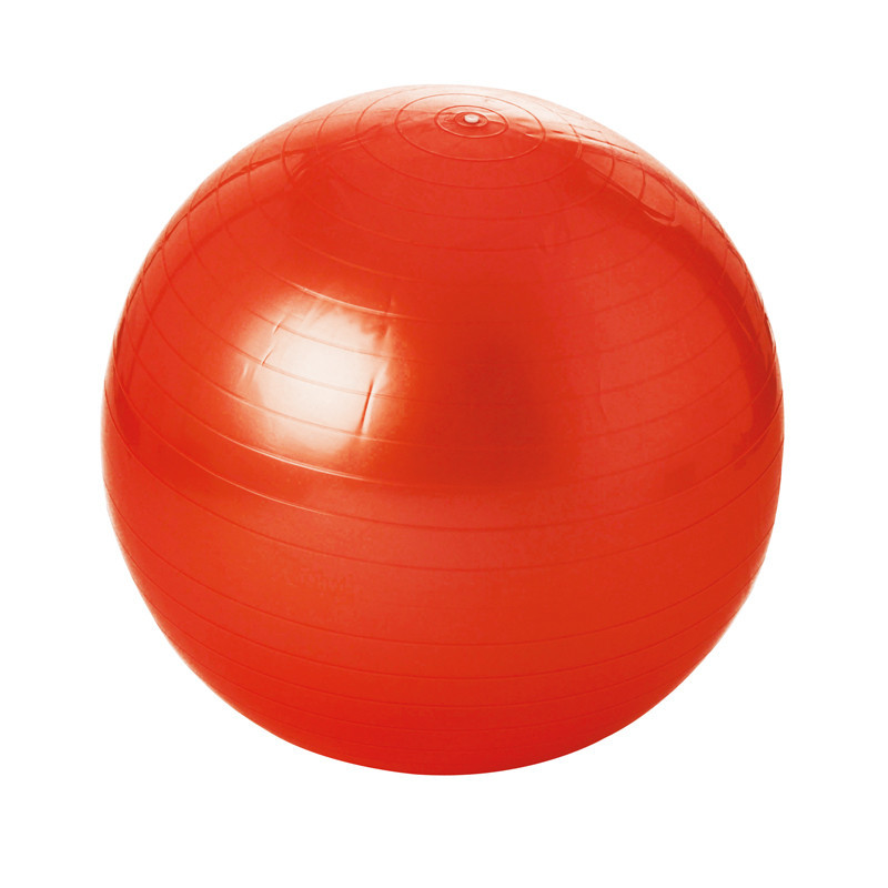3700322919673 - GYMBALL Ø 65 CM