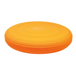 4014888671500 - COUSSIN DYNAMIQUE 33 CM