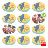 8426804208442 - ECOLE, FAMILLE & PAIX - INCLUSION SOCIALE