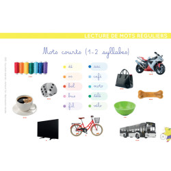 9782494341029 - ÉTOILIUM - CHEVALET SPÉCIAL DYS