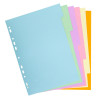 INTERCALAIRES A4 CARTE FORTE 6 POSITIONS COLORIS PASTELS