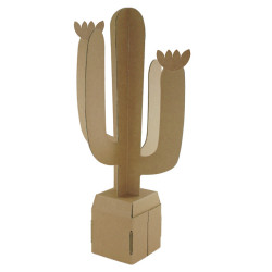 3134725017405 - 15 CACTUS CARTON BRUN