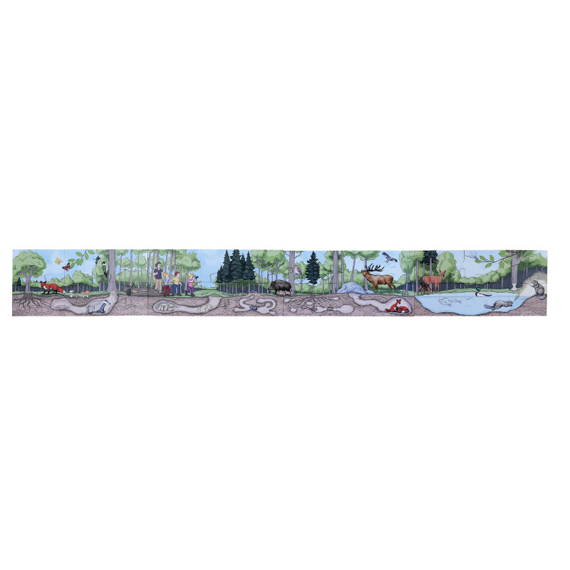4014888162107 - DECOUVRE LA FORET