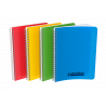 3020120119014 - CAHIER PP ASSORTIS 17X22 100P SÉYÈS 90G RELIURE INTÉGRALE