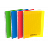 3020120134956 - CAHIER PP ASSORTIS 24X32 100P SÉYÈS 90G RELIURE INTÉGRALE
