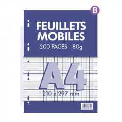 FEUILLETS MOBILES 21X29,7...