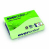 3288580400046 - EVERCOLOR RECYCLÉ VERT A4 RAMETTE 500F 80G