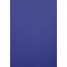 3130630027904 - 100 COUVERTURES GRAIN CUIR BLEU