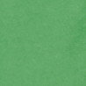 3065503940212 - 24F PAPIER DE SOIE 50X75CM VERT