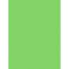 3065503845227 - 25F PAPIER AFFICHE 60X80CM VERT FONCÉ