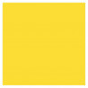 3065504553152 - 25F CARTOLINE 120G 50X65CM JAUNE CITRON