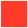 3065504553060 - 25F CARTOLINE 120G 50X65CM ROUGE