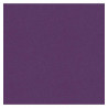 3065504553107 - 25F CARTOLINE 120G 50X65CM VIOLET