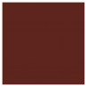 3065504553732 - 25F CARTOLINE 120G 50X65CM MARRON