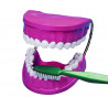 4893338290016 - KIT ÉDUCATIF MÂCHOIRES ET BROSSE À DENTS