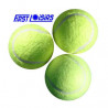 3420212142010 - 3 BALLES DE TENNIS