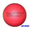 3420212482321 - BALLON D'ÉVEIL VOLLEY Ø 15,5CM
