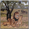 8718229025446 - PUZZLE LES LIONS